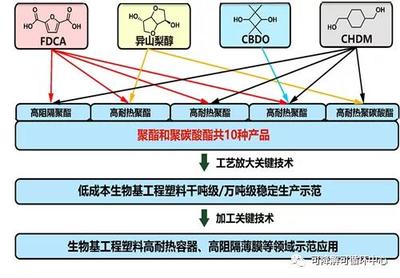 中科院寧波所生物基高分子團隊獲批國家重點研發(fā)計劃項目，推動生物基材料技術(shù)研發(fā)